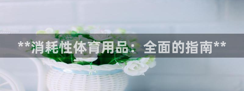 欧陆娱乐登录测速怎么关闭：**消耗性体育用品：全面的
