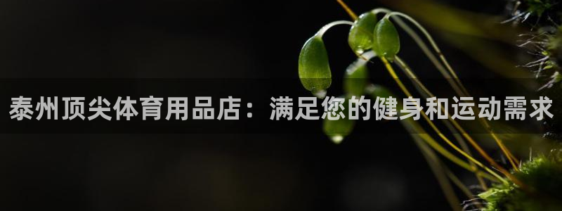 欧陆娱乐能赚钱吗：泰州顶尖体育用品店：满足您的健身和