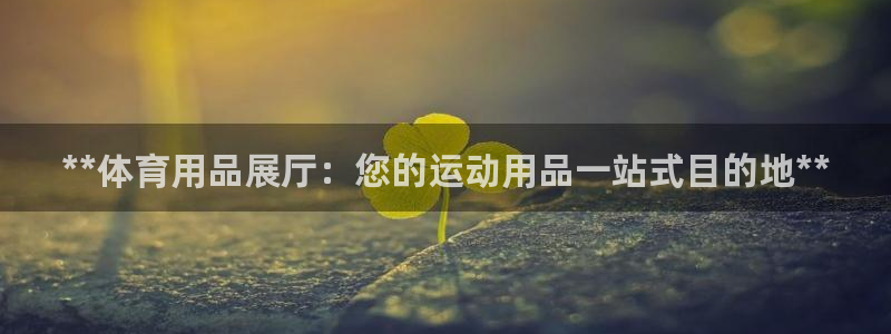 欧陆娱乐公司产品介绍大全：**体育用品展厅：您的运动