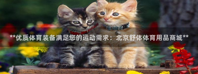 欧陆娱乐挂机项目怎么设置：**优质体育装备满足您的运