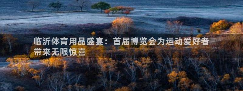 欧陆娱乐官方下载安装：临沂体育用品盛宴：首届博览会为