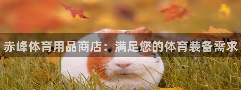 欧陆娱乐代理 贴吧是真的吗：赤峰体育用品商店：满足您