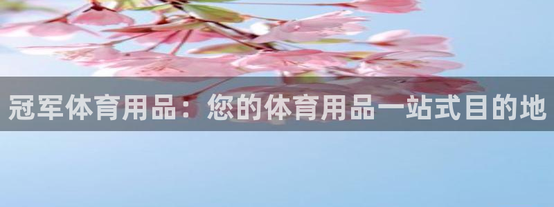 欧陆娱乐官网网址是多少：冠军体育用品：您的体育用品一