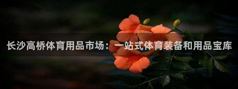 欧陆娱乐官方网站：长沙高桥体育用品市场：一站式体育装