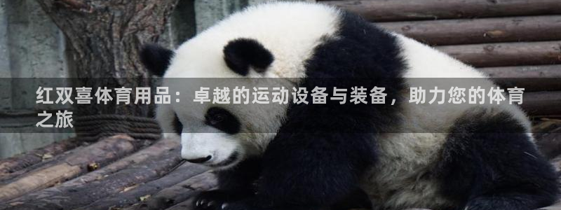 欧陆娱乐登陆官网下载：红双喜体育用品：卓越的运动设备