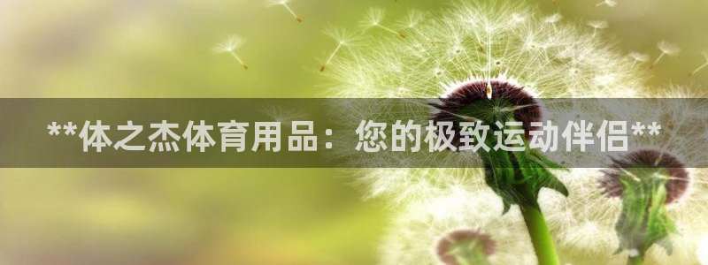 欧陆娱乐官网注册中心：**体之杰体育用品：您的极致运