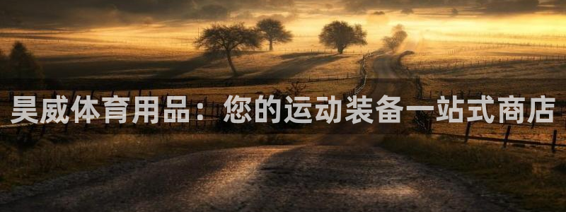 欧陆娱乐平台优势：昊威体育用品：您的运动装备一站式商