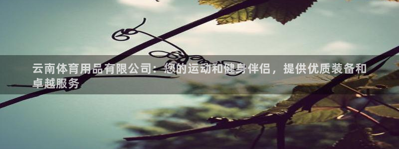 欧陆娱乐代理多少个点位：云南体育用品有限公司：您的运