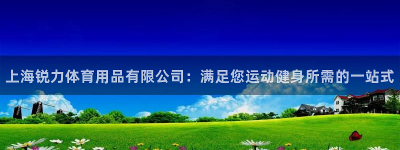 欧陆娱乐代理多少个点位合适：上海锐力体育用品有限公司