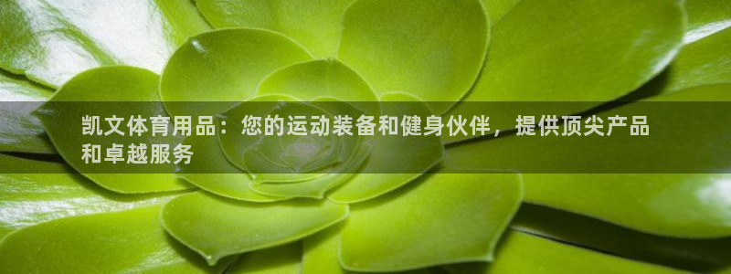 欧陆娱乐app下载：凯文体育用品：您的运动装备和健身
