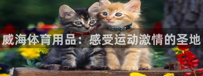 欧陆娱乐登录平台有哪些：威海体育用品：感受运动激情的