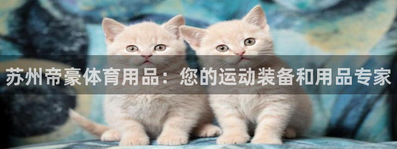 欧陆娱乐注册代理多少钱一年：苏州帝豪体育用品：您的运