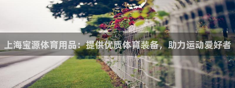 欧陆娱乐平台登陆地址是什么样的：上海宝源体育用品：提