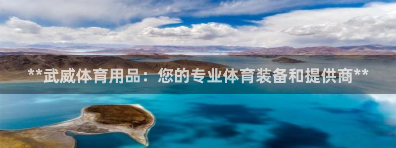 欧陆娱乐挂机怎么玩：**武威体育用品：您的专业体育装