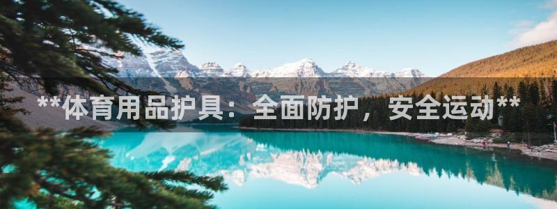 欧陆娱乐app下载安装：**体育用品护具：全面防护，
