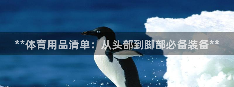 欧陆娱乐官网首页入口：**体育用品清单：从头部到脚部