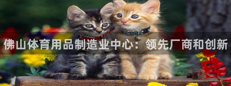 欧陆娱乐共创美好：佛山体育用品制造业中心：领先厂商和
