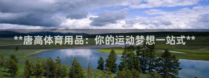 欧陆娱乐登陆官网入口：**唐高体育用品：你的运动梦想