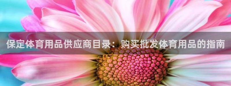 欧陆娱乐官网入口：保定体育用品供应商目录：购买批发体