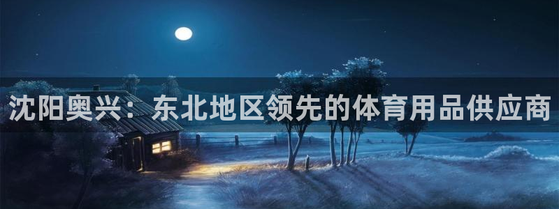 欧陆娱乐游戏：沈阳奥兴：东北地区领先的体育用品供应商