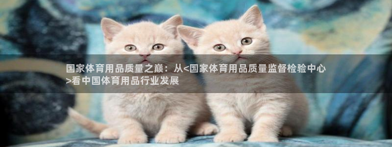 欧陆娱乐出款：国家体育用品质量之巅：从<国家体育用品