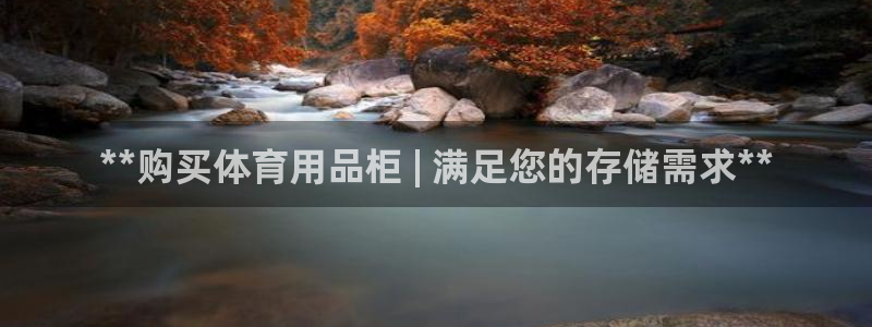 欧陆公司在哪里：**购买体育用品柜 | 满足您的存储