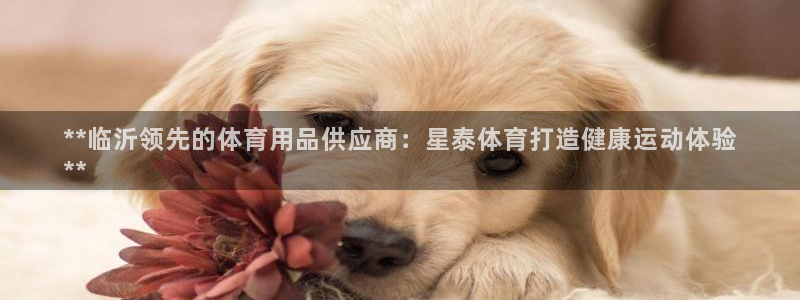 欧陆娱乐平台官网：**临沂领先的体育用品供应商：星泰