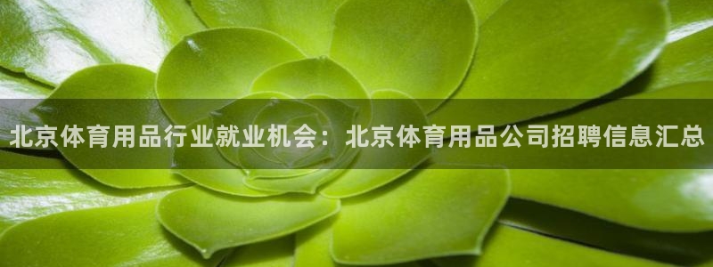 欧陆娱乐官网下载安装最新版苹果：北京体育用品行业就业