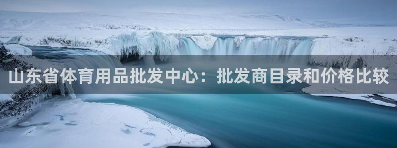 欧陆娱乐公司产品介绍大全：山东省体育用品批发中心：批