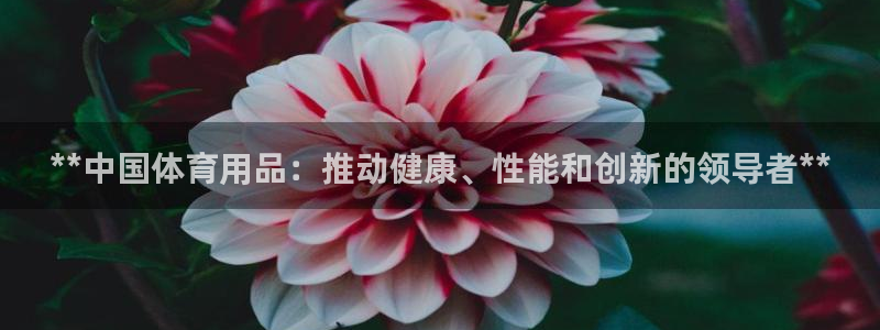 欧陆娱乐注册链接安全吗知乎：**中国体育用品：推动健