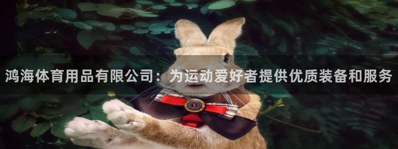 欧陆娱乐脚本：鸿海体育用品有限公司：为运动爱好者提供