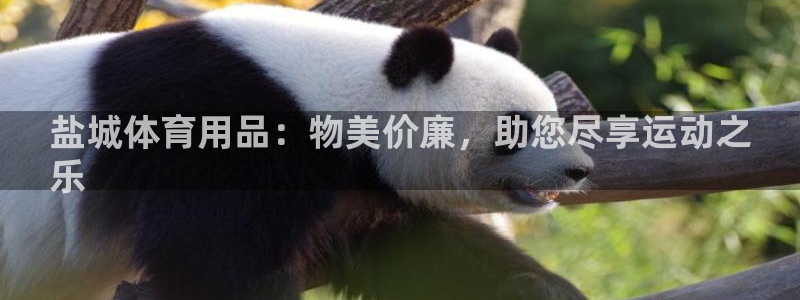 重庆欧陆娱乐有限公司地址：盐城体育用品：物美价廉，助