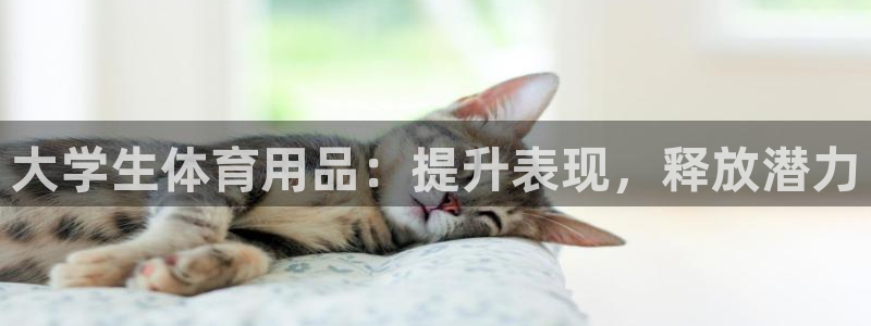 欧陆娱乐代理 贴吧：大学生体育用品：提升表现，释放潜