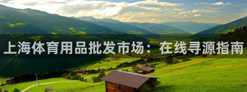 欧陆娱乐突然登录不了了：上海体育用品批发市场：在线寻