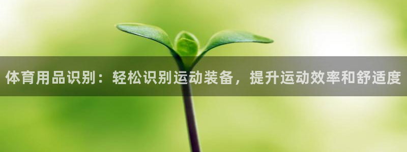 欧陆娱乐注册链接怎么弄出来：体育用品识别：轻松识别运