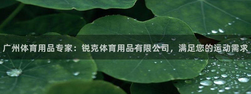 欧陆娱乐平台登陆地址是什么样的：广州体育用品专家：锐