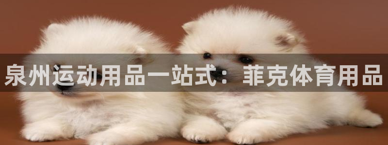 欧陆娱乐挂机怎么玩：泉州运动用品一站式：菲克体育用品