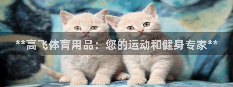 欧陆娱乐注册链接：**高飞体育用品：您的运动和健身专