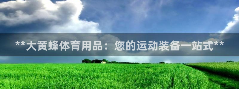 欧陆娱乐代理多少个点位合适：**大黄蜂体育用品：您的