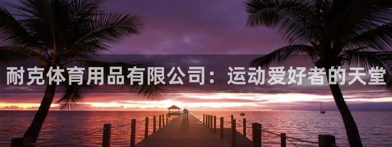 欧陆娱乐app打不开怎么回事：耐克体育用品有限公司：