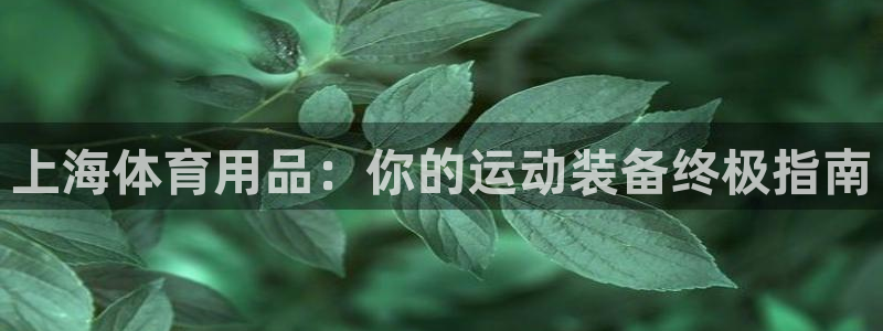 欧陆娱乐客服电话号码：上海体育用品：你的运动装备终极