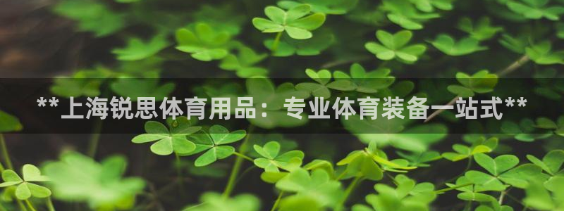 欧陆娱乐打什么方案：**上海锐思体育用品：专业体育装