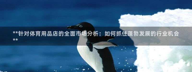 欧陆娱乐官网网址是多少：**针对体育用品店的全面市场