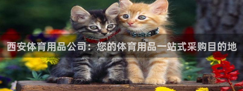 欧陆娱乐怎么注册帐号啊：西安体育用品公司：您的体育用