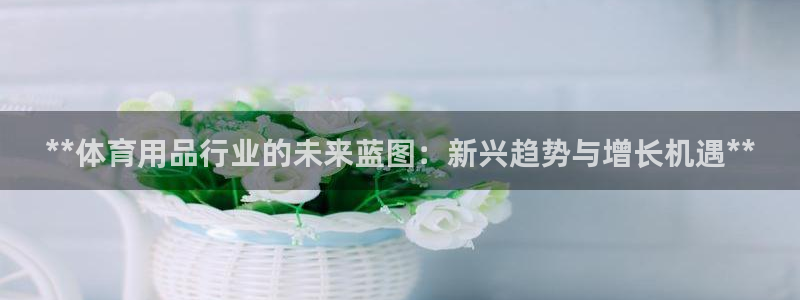 欧陆娱乐官网注册中心：**体育用品行业的未来蓝图：新