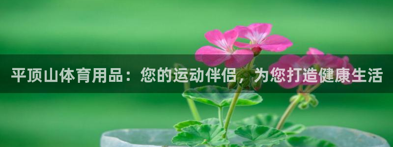 欧陆娱乐怎么注册会员账号：平顶山体育用品：您的运动伴