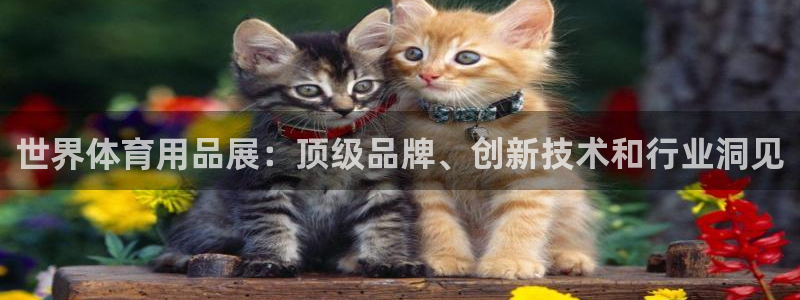 欧陆娱乐测试网站：世界体育用品展：顶级品牌、创新技术