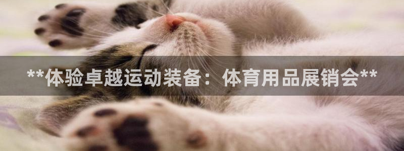 欧陆娱乐平台咋样啊赚钱：**体验卓越运动装备：体育用