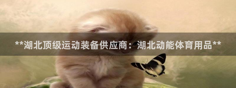 欧陆娱乐怎么注册会员账号：**湖北顶级运动装备供应商