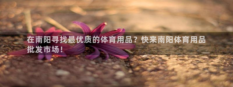 欧陆娱乐登录测速怎么关闭：在南阳寻找最优质的体育用品